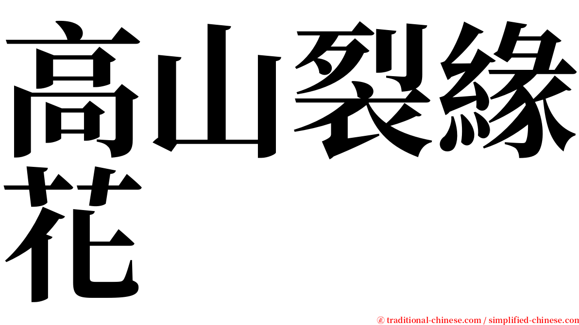 高山裂緣花 serif font