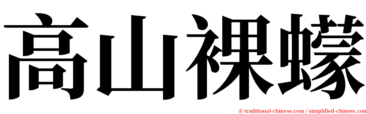 高山裸蠓 serif font