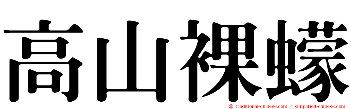 高山裸蠓