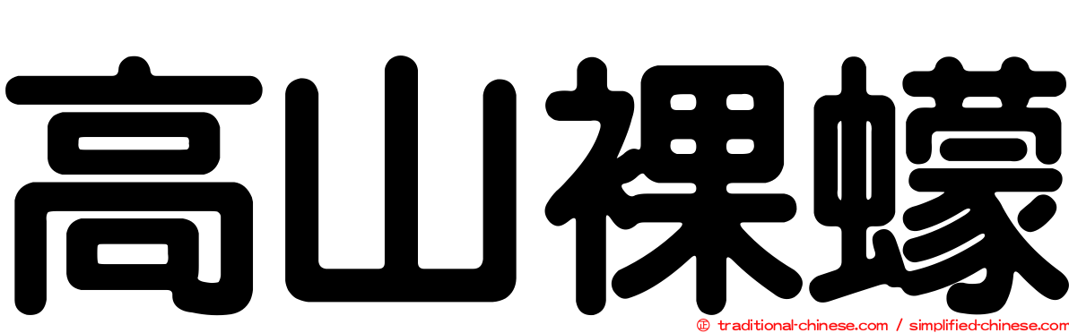 高山裸蠓