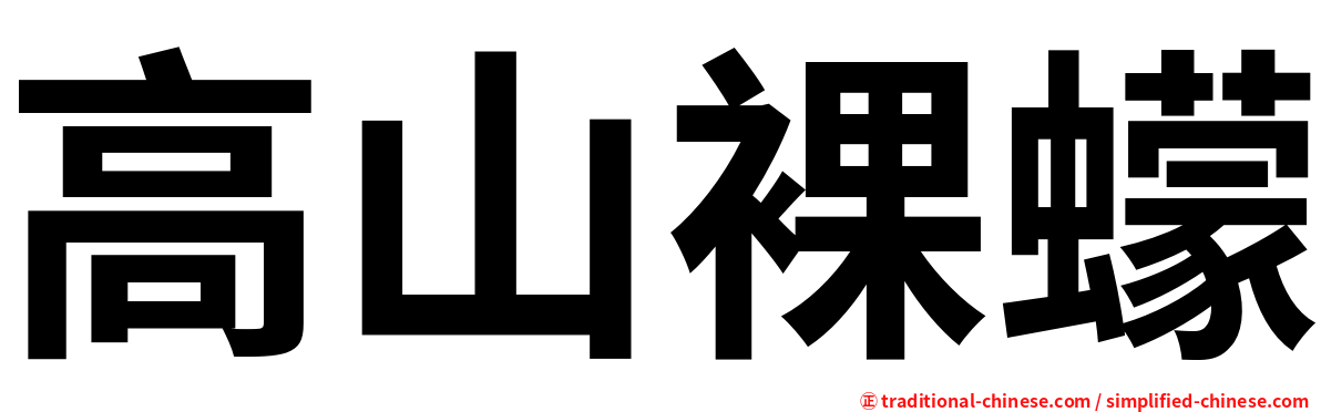 高山裸蠓