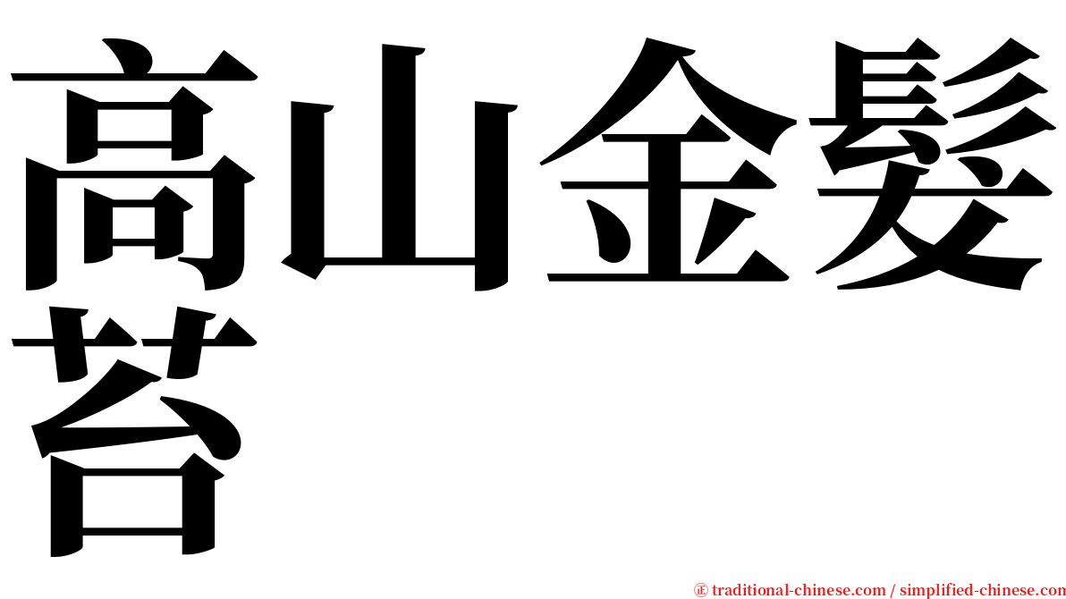 高山金髮苔 serif font