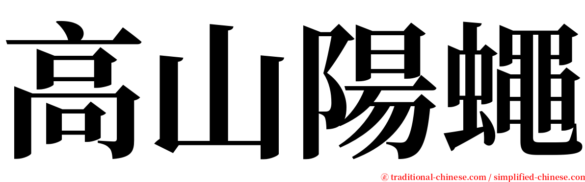 高山陽蠅 serif font