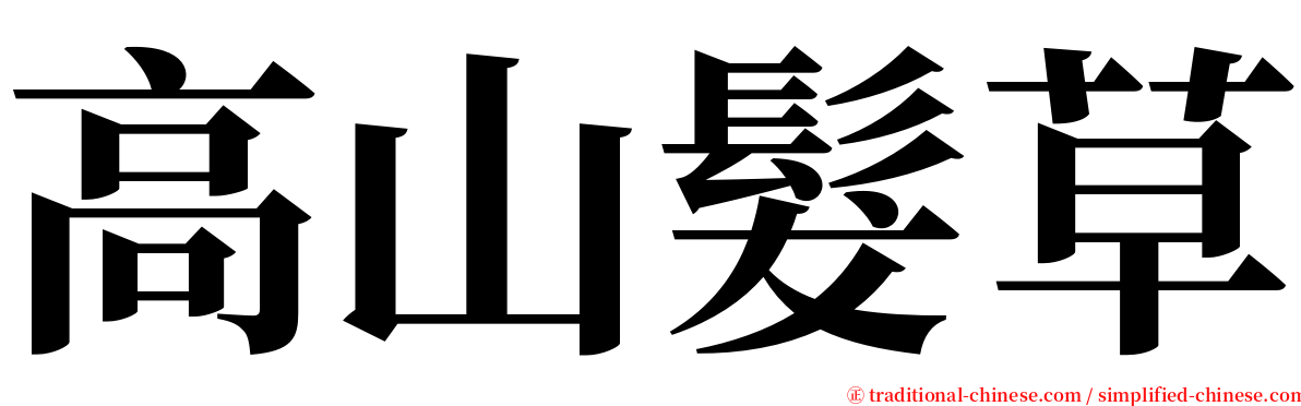 高山髮草 serif font