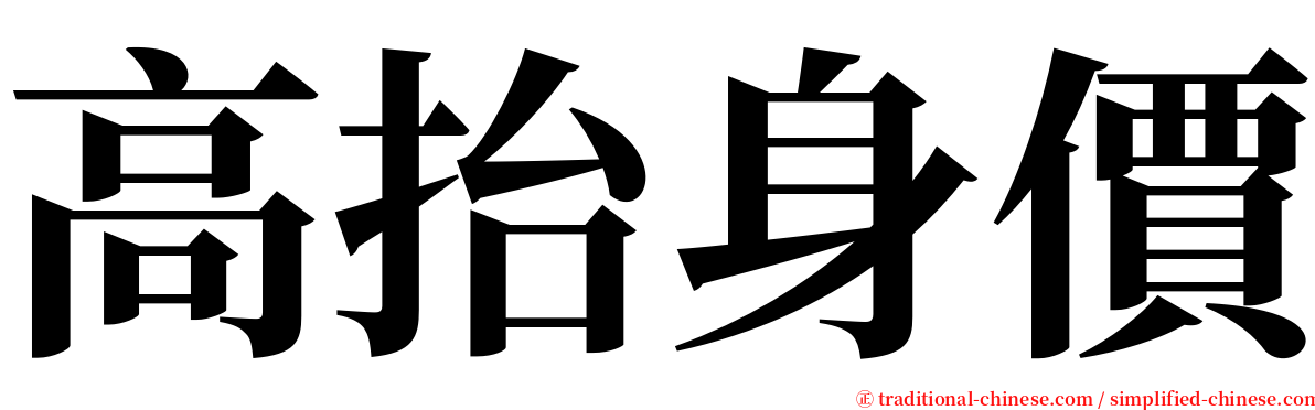 高抬身價 serif font