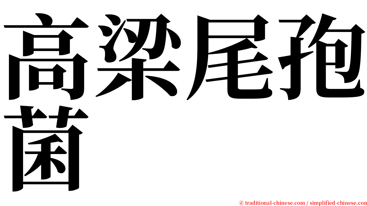 高梁尾孢菌 serif font