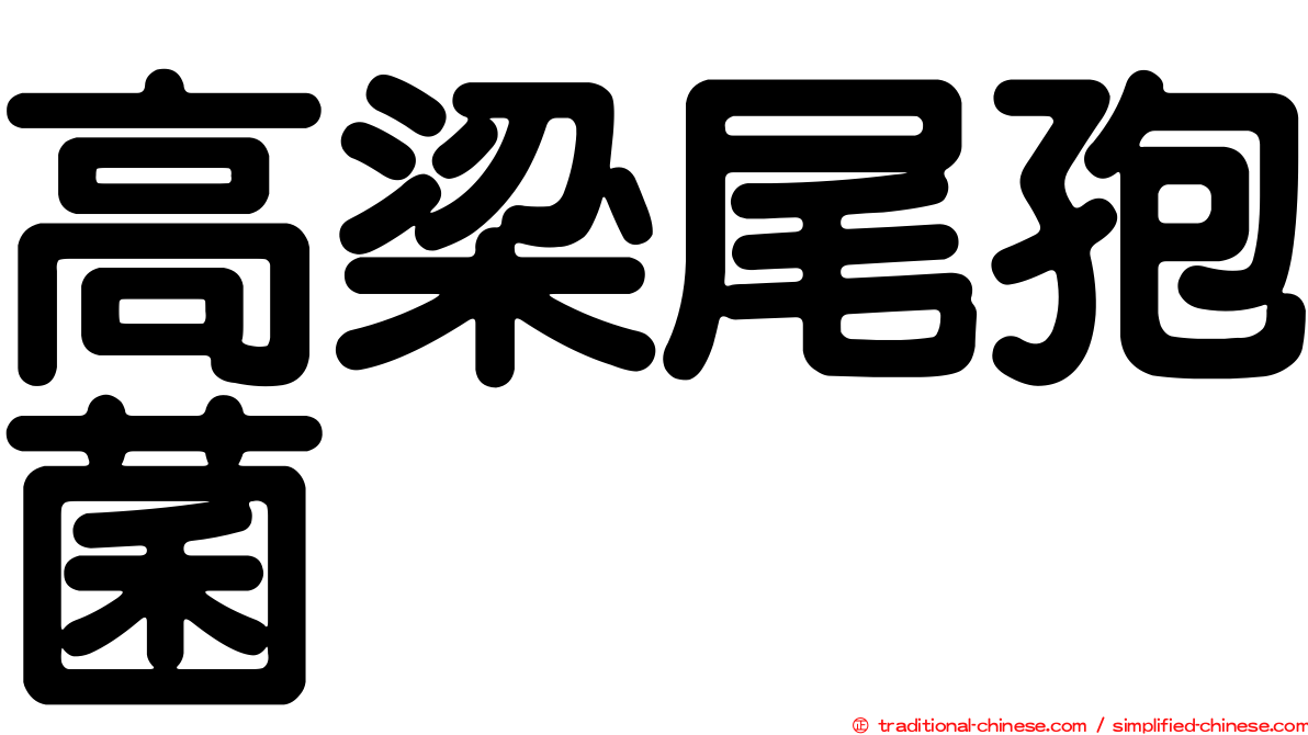 高梁尾孢菌