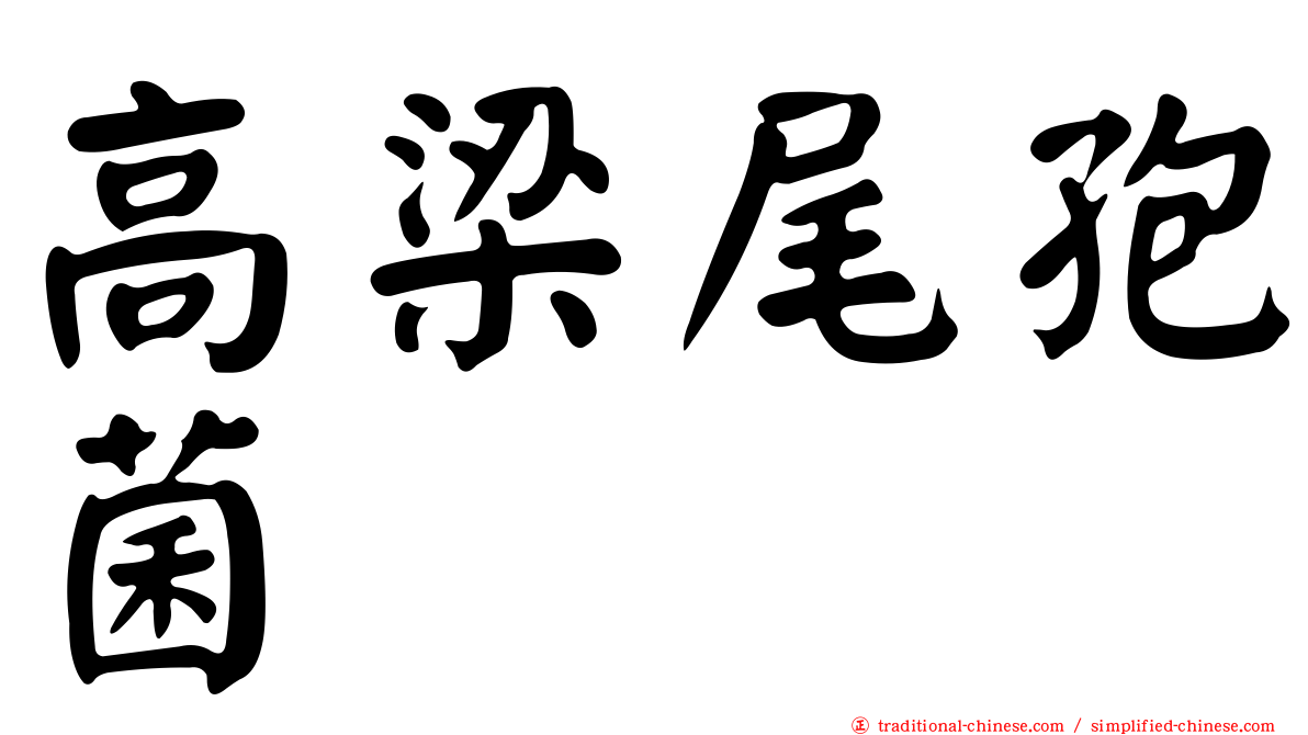 高梁尾孢菌