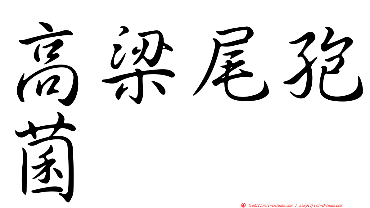 高梁尾孢菌