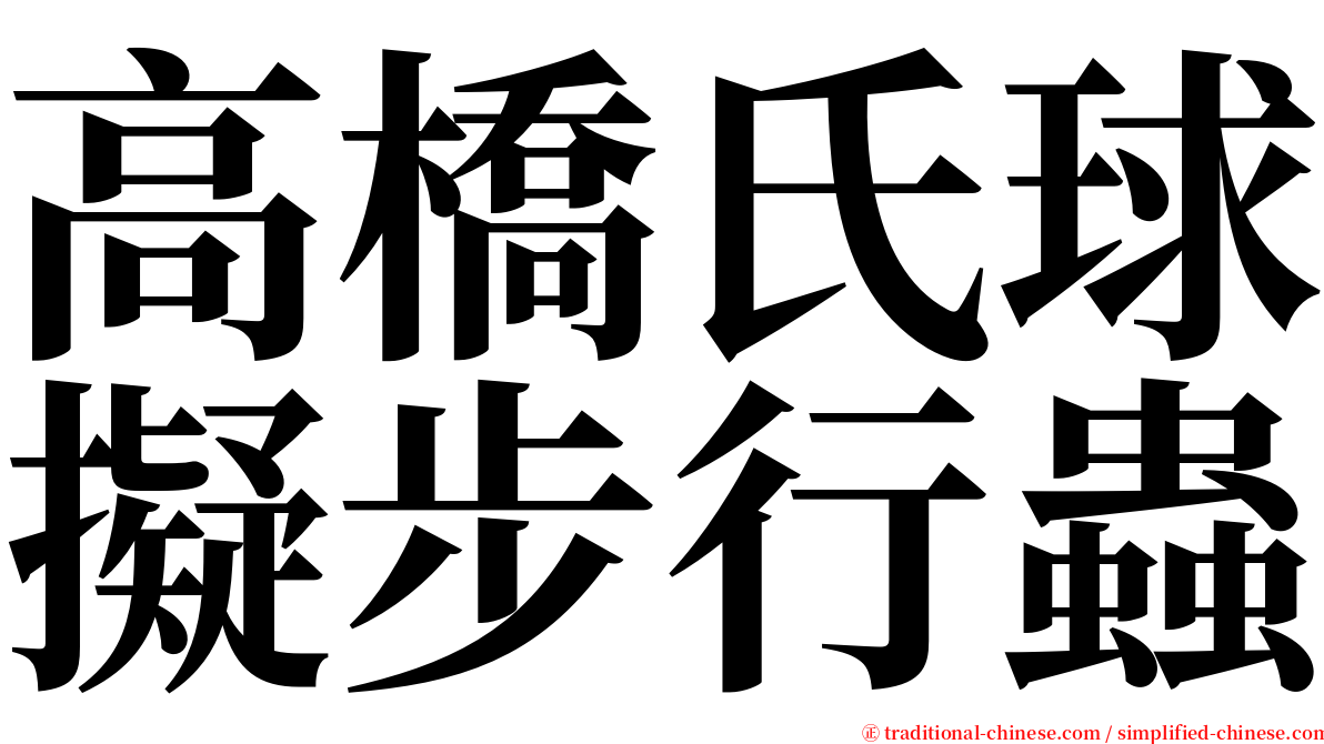 高橋氏球擬步行蟲 serif font