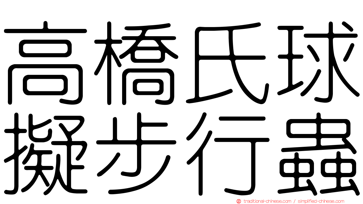 高橋氏球擬步行蟲