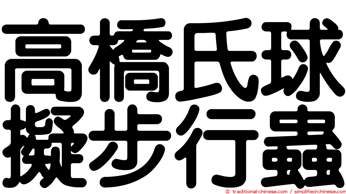 高橋氏球擬步行蟲