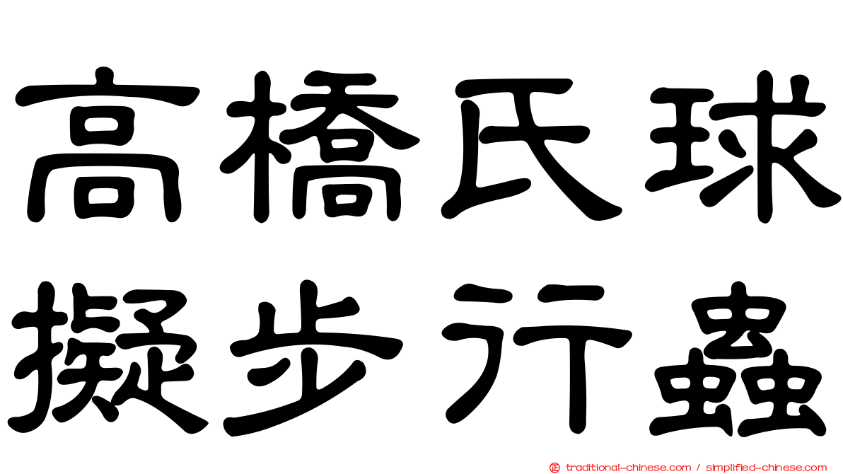 高橋氏球擬步行蟲