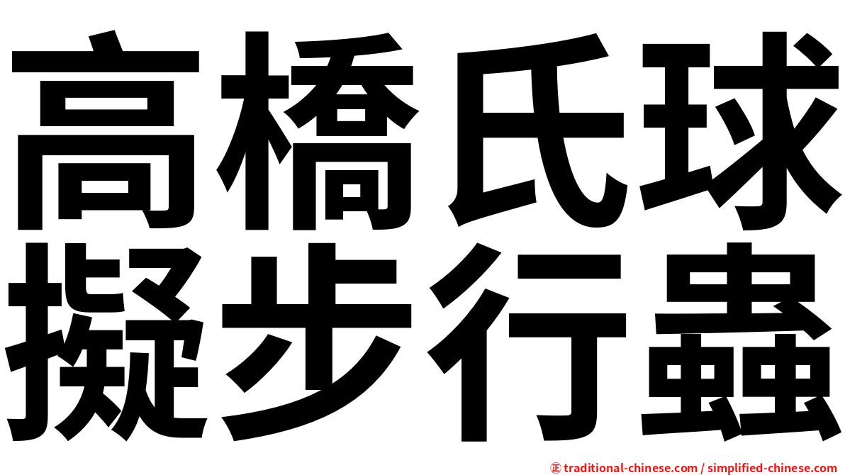 高橋氏球擬步行蟲