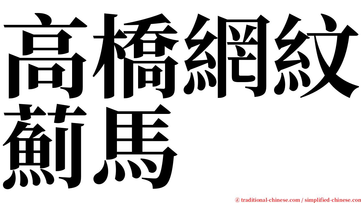 高橋網紋薊馬 serif font