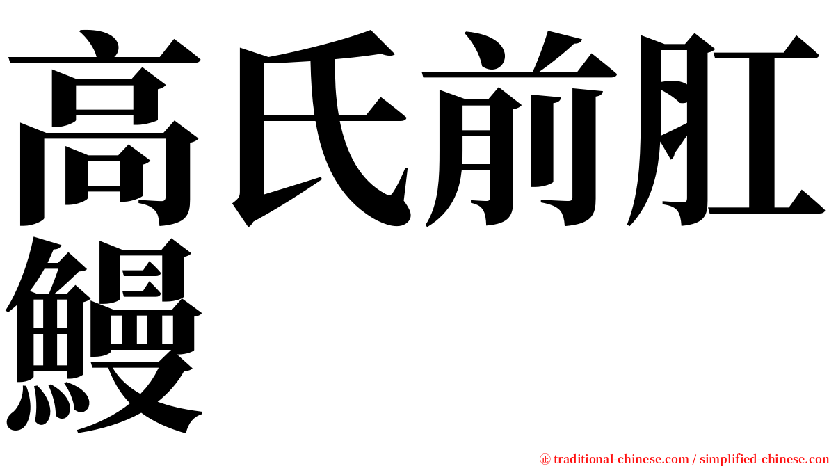 高氏前肛鰻 serif font