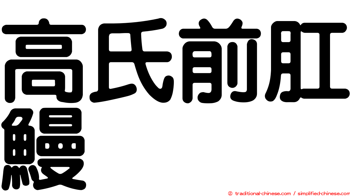 高氏前肛鰻