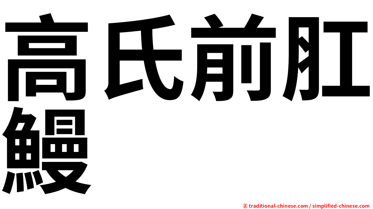 高氏前肛鰻