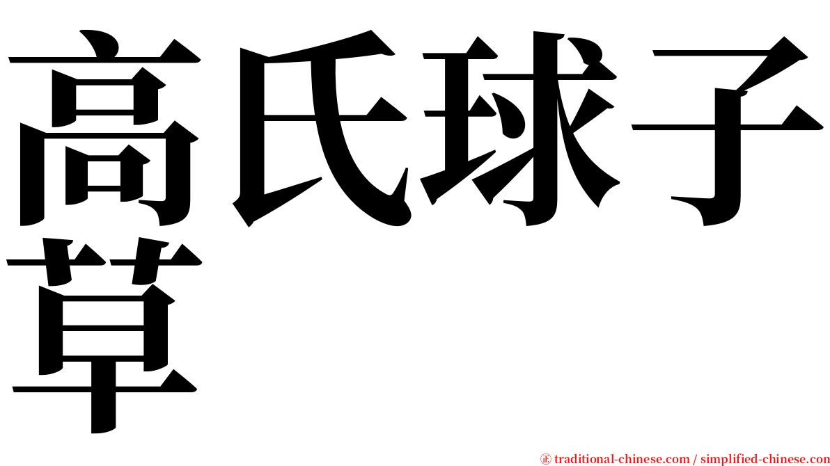 高氏球子草 serif font