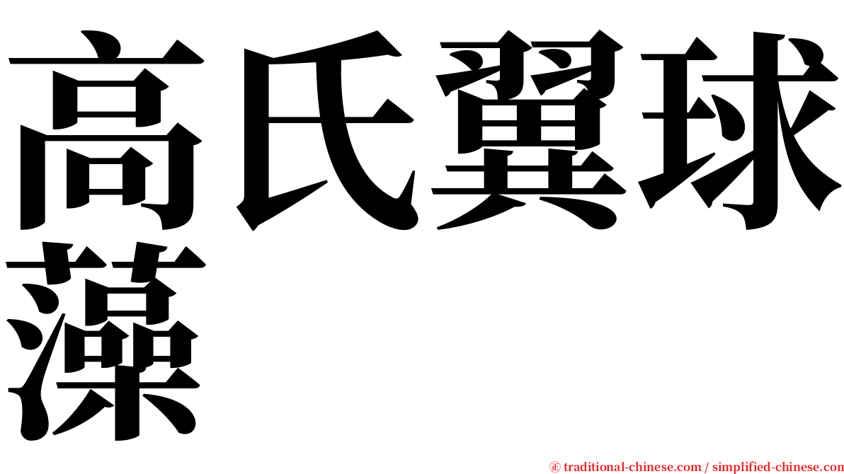 高氏翼球藻 serif font