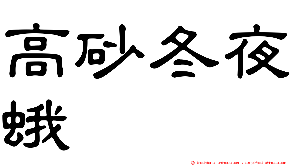 高砂冬夜蛾