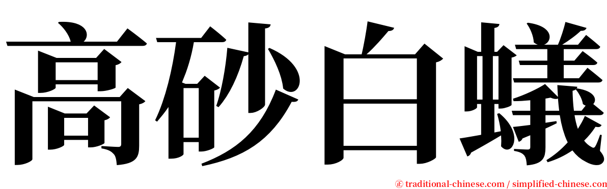 高砂白蟻 serif font