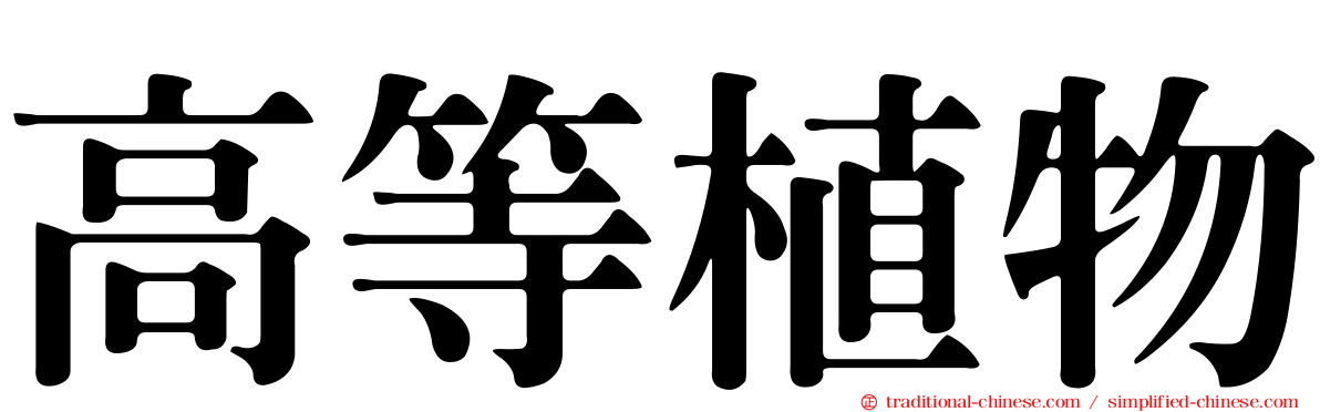 高等植物