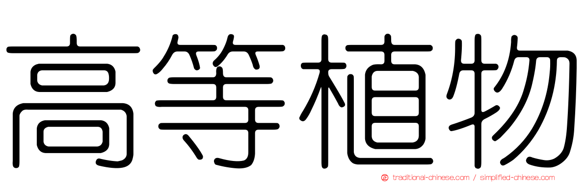 高等植物