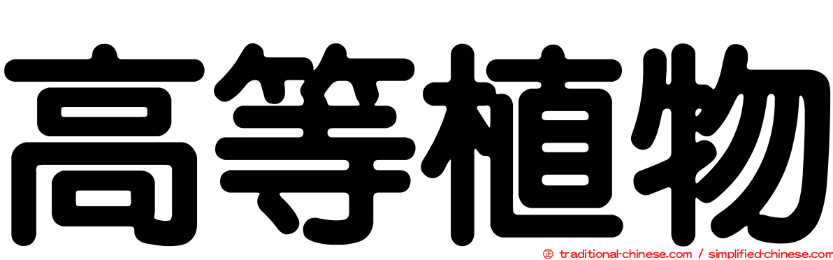 高等植物