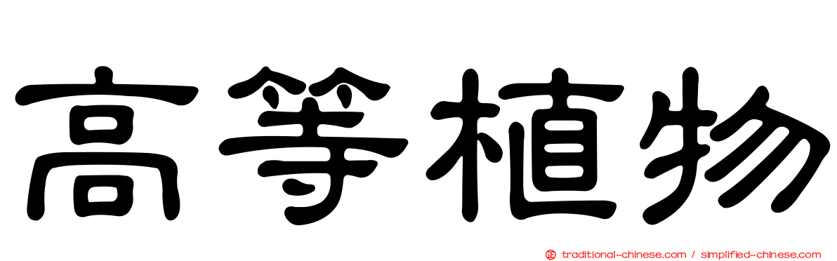 高等植物