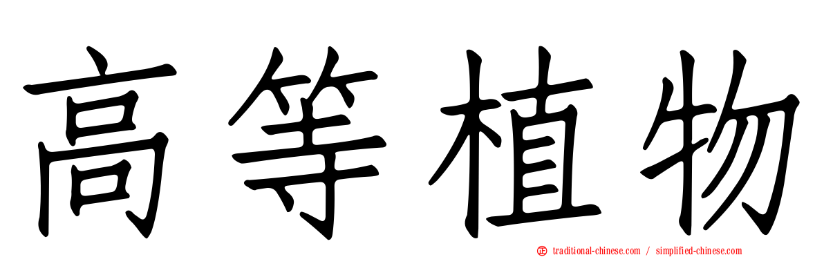 高等植物