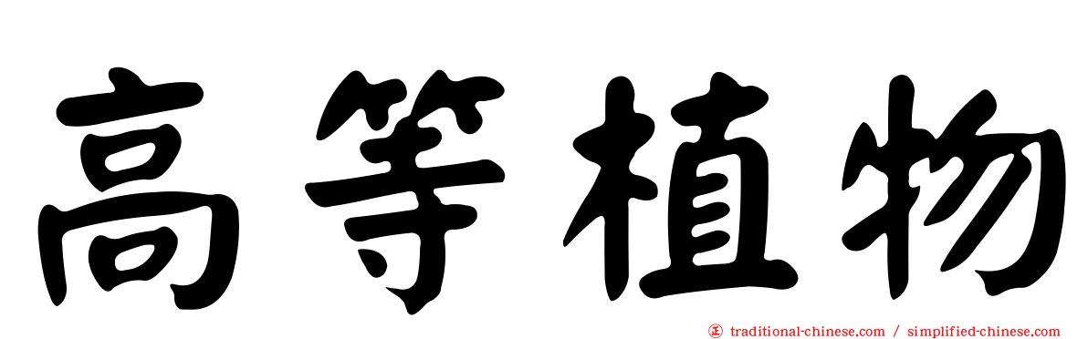 高等植物