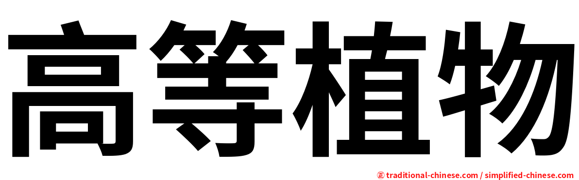 高等植物