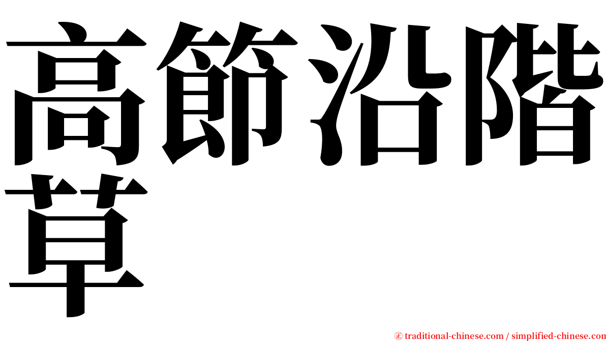 高節沿階草 serif font