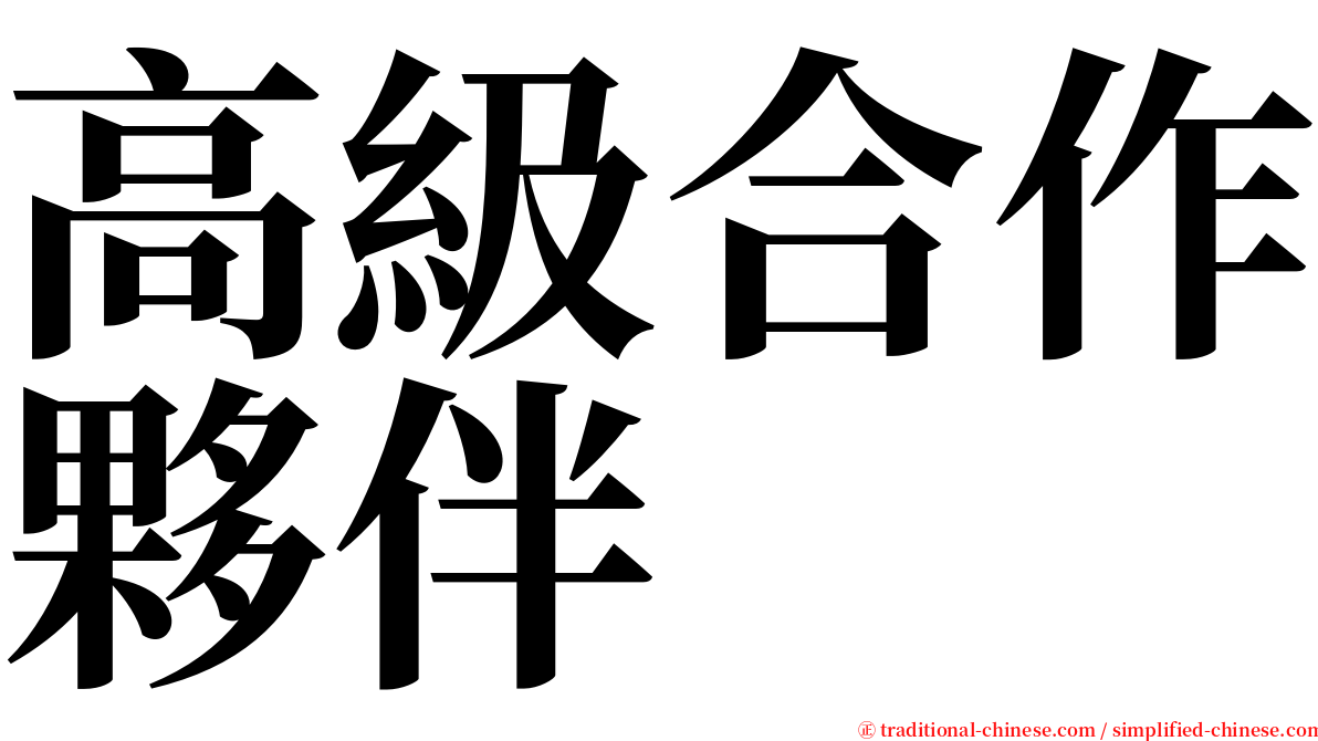 高級合作夥伴 serif font