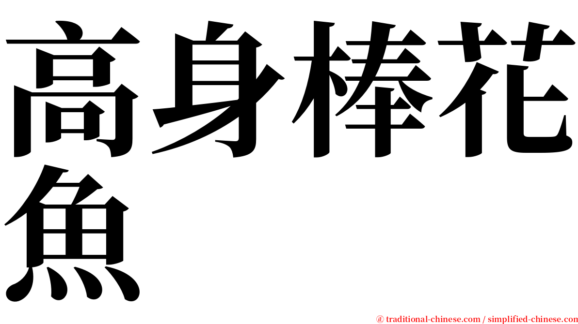 高身棒花魚 serif font