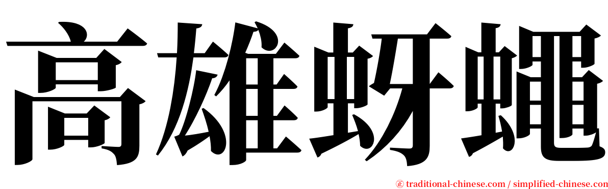 高雄蚜蠅 serif font