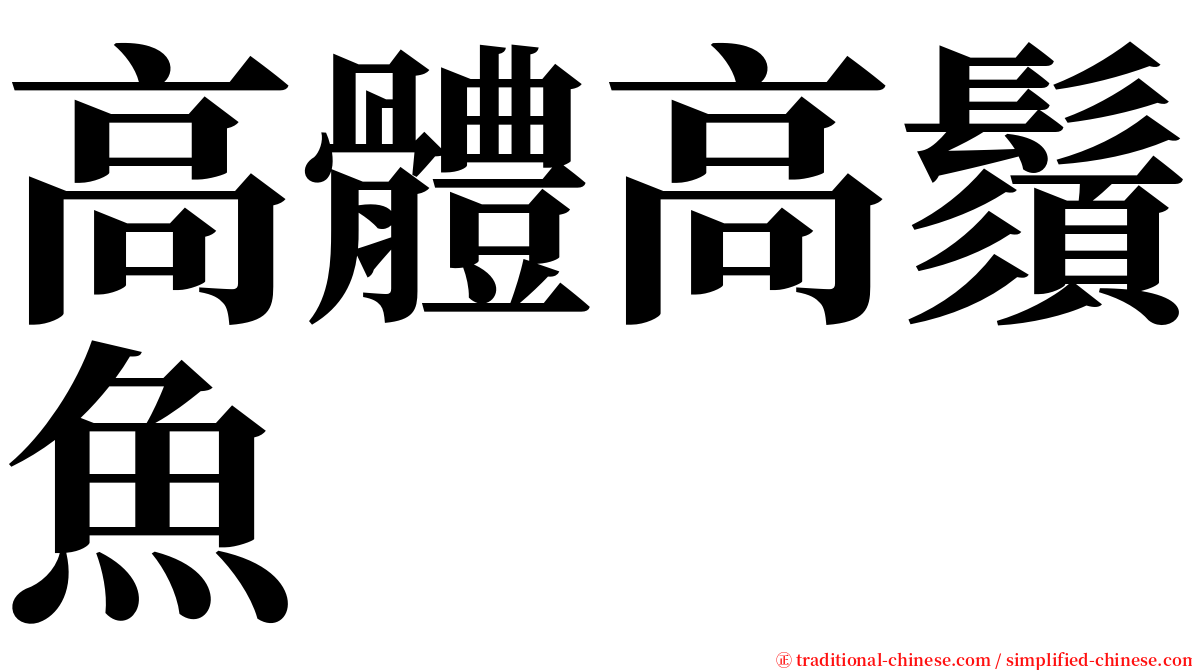 高體高鬚魚 serif font