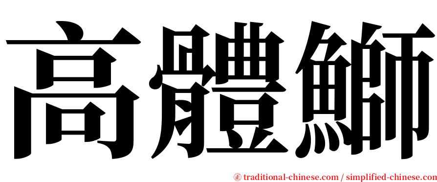 高體鰤 serif font