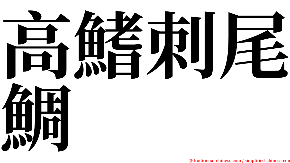 高鰭刺尾鯛 serif font