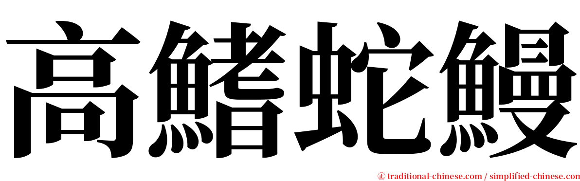 高鰭蛇鰻 serif font