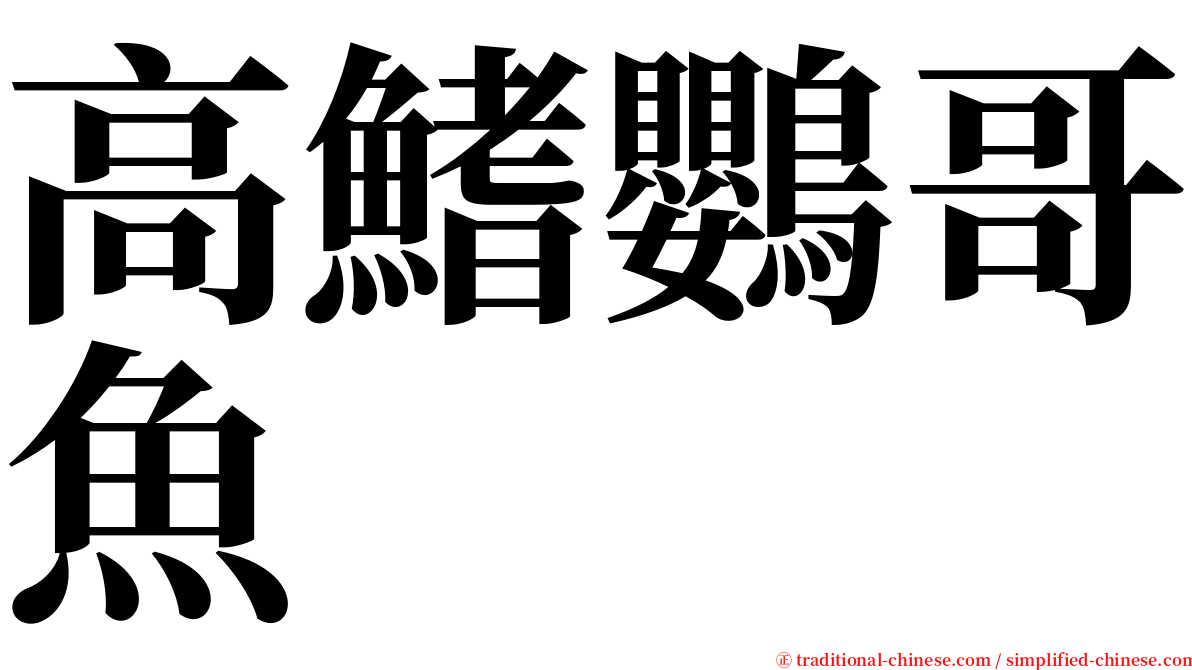 高鰭鸚哥魚 serif font