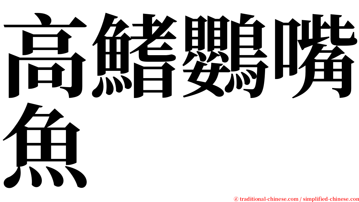 高鰭鸚嘴魚 serif font