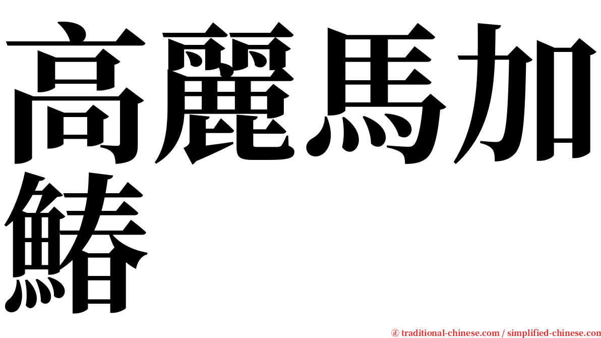 高麗馬加鰆 serif font