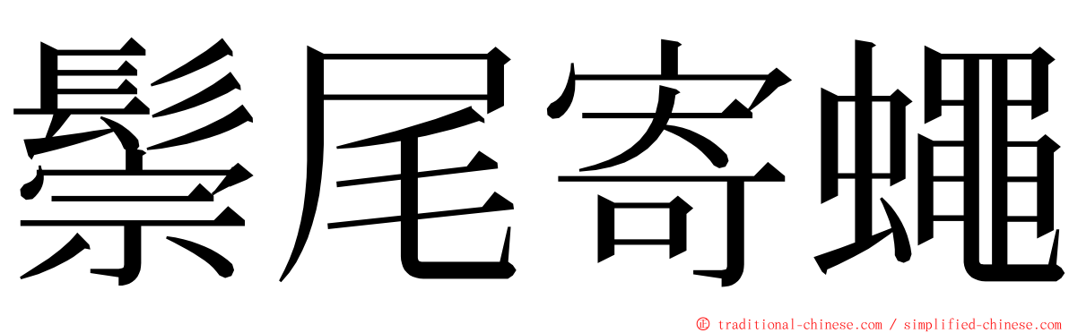 鬃尾寄蠅 ming font