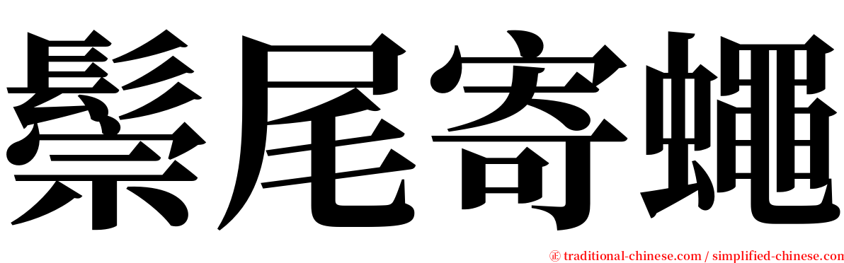 鬃尾寄蠅 serif font