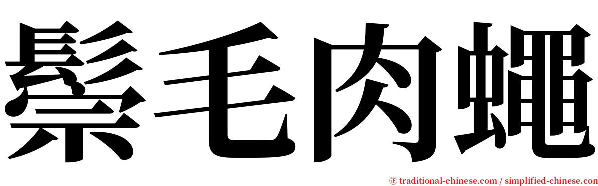 鬃毛肉蠅 serif font