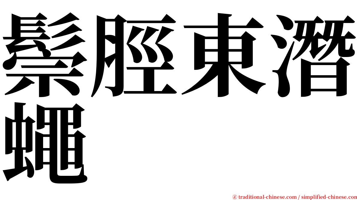 鬃脛東潛蠅 serif font