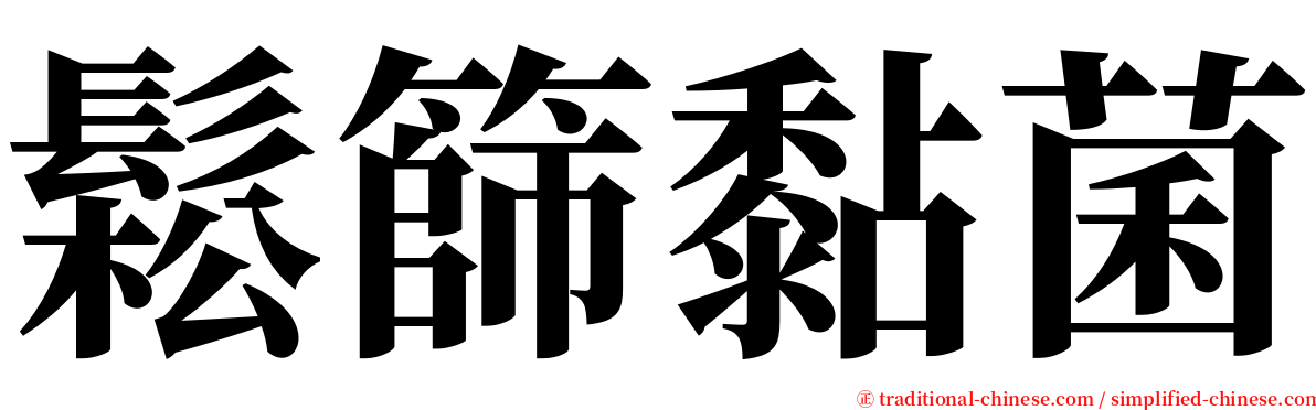 鬆篩黏菌 serif font