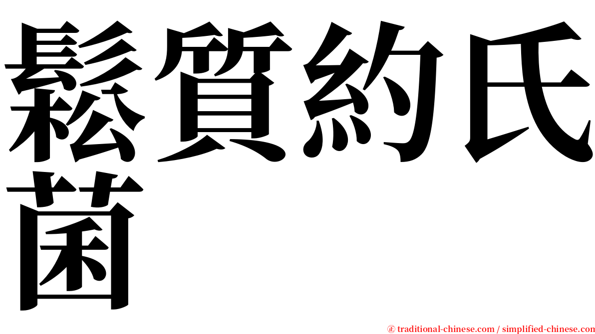 鬆質約氏菌 serif font